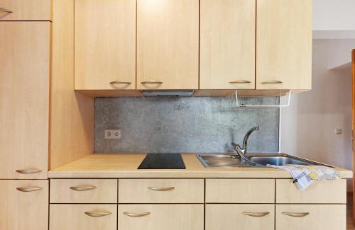 Aldino Apartment | Huanzhof Ferienwohnung Schwarzhorn