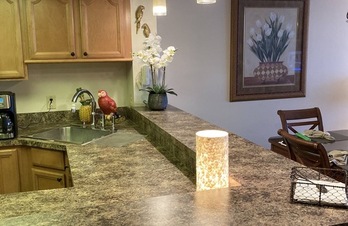 Hudson Condo | Hudson Hideaway: 2 BR/2 Bath Gulf Front Condo,Stunning Sunset from 27' Balcony