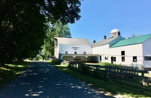 Pine Plains House | Hudson Valley Farmhouse on an Idyllic Country Lane