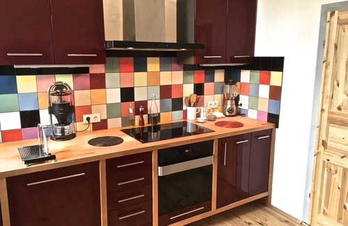 Werbach Apartment | Huge apartment for large families, friends and pets!