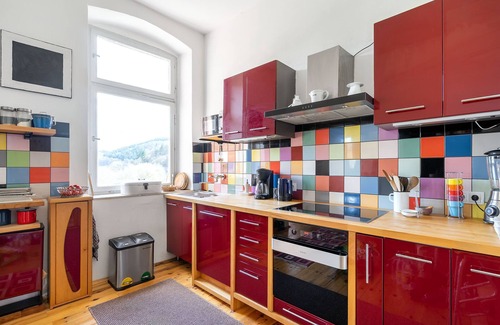 Werbach Apartment | Huge apartment for large families, friends and pets!