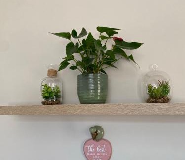 Bray Apartment | Hugo Mews Bright Studio Apartment