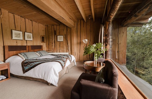 Neltume Hotel | Huilo Huilo Nothofagus Hotel & Spa