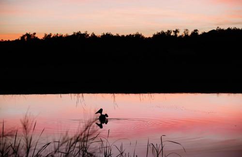 Pokolbin Ski Chalet | Hunter Habit Cottages