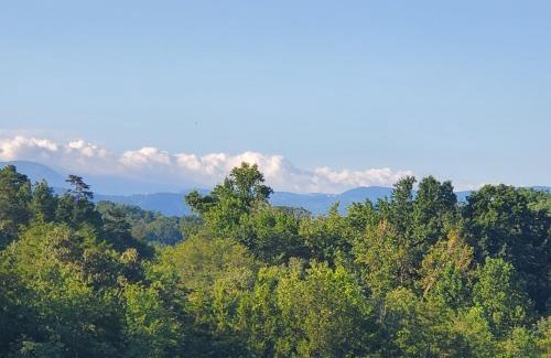 Sevierville House | Huny Bear Lodge