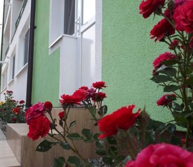 Selimbar Apartment | Hunyadi Budget Ciresica