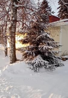 Kalajoki House | Huone Seesteisessä Mummolassa