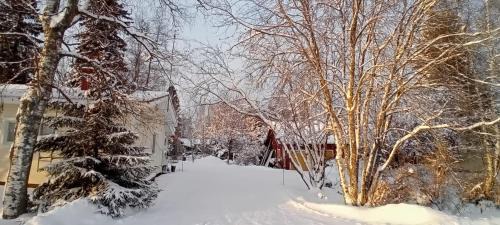 Kalajoki House | Huone Seesteisessä Mummolassa