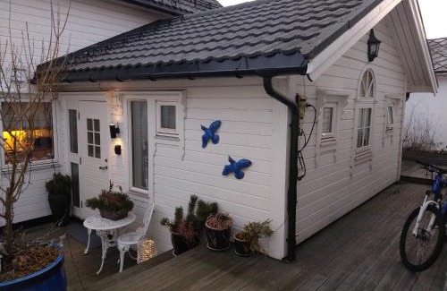 Volda House | Huset på hauen