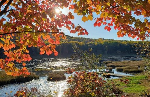 Madawaska Valley Bed & Breakfast | Hush Lodge and Cottages