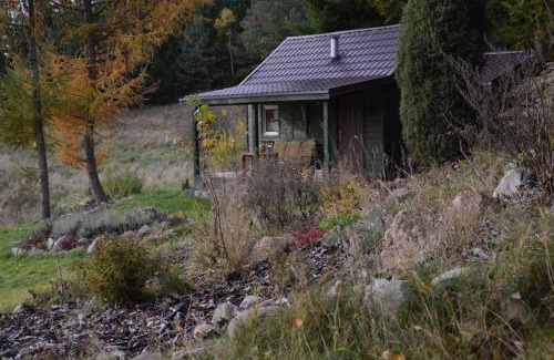 Kolczyglowy Ski Chalet | hut in the mid. of nowhere + priv pond+3 ha