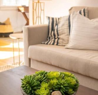 Hyde Park Apartment | Hyde Park Comfort with Office Near Everything