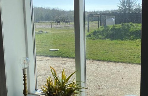Pandrup Apartment | Hyggelig ferielejlighed v/Blokhus