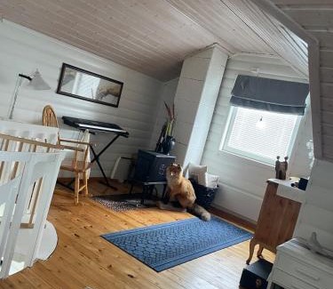 Storekorsnes House | Hytte i Altafjorden
