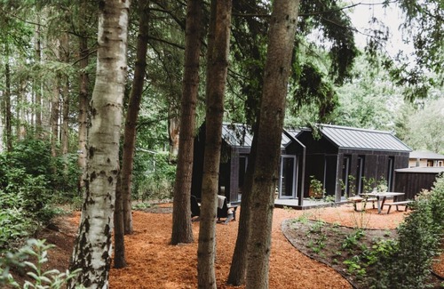 Municipality of Epe House | Hytte, which is Norwegian for cabin or (wooden) house in nature.