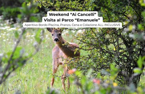 Palazzuolo sul Senio Resort | I Cancelli - Family Village