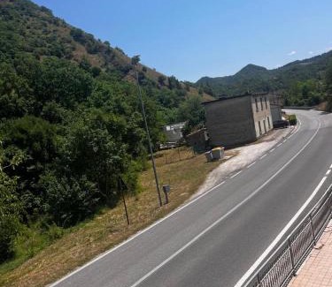 Cagli House | I due cipressi