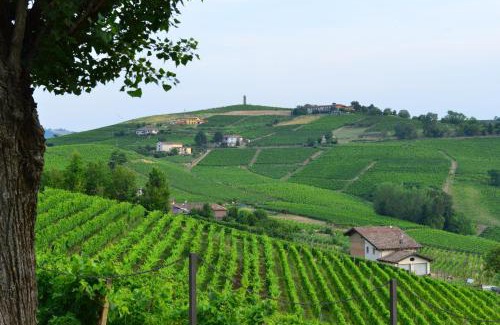 Canelli House | I Grappoli