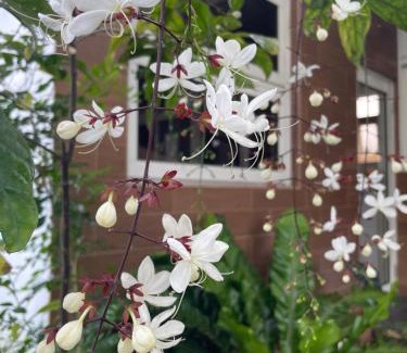 Yuanshan Bed & Breakfast | I Leisure B&B