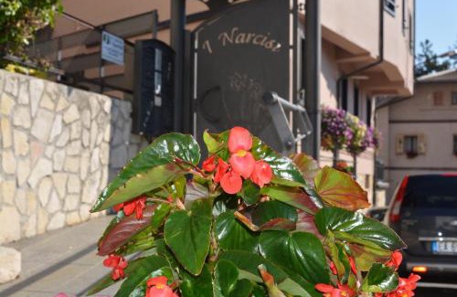 Roccaraso Apartment | I Narcisi