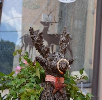 Roccaraso Apartment | I Narcisi