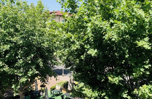 Montecatini Terme Apartment | I Platani 1 - Charming apartment in Montecatini Terme