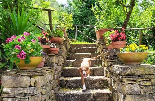 Rutino House | I Tre Tigli - Casa di campagna