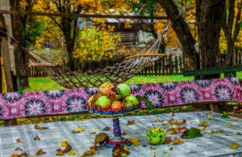 Tsvirmi House | Iamze's Guest House