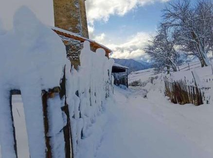 Tsvirmi House | Iamze's Guest House