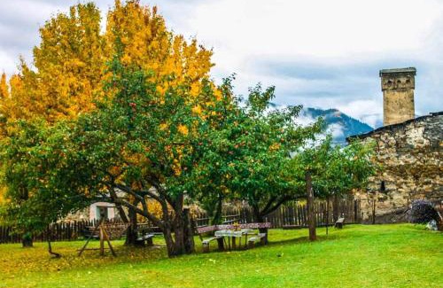 Tsvirmi House | Iamze's Guest House