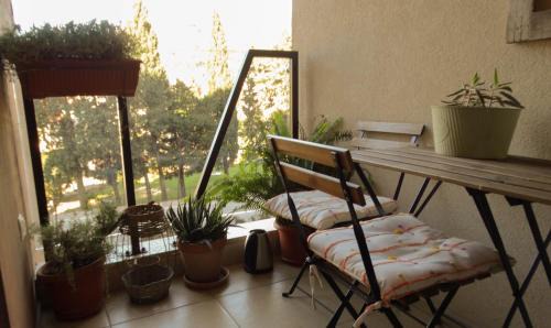 Budva Apartment | IB Apartment Budva