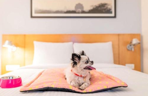 Shenoys Hotel | ibis Kochi City Centre - An Accor Brand