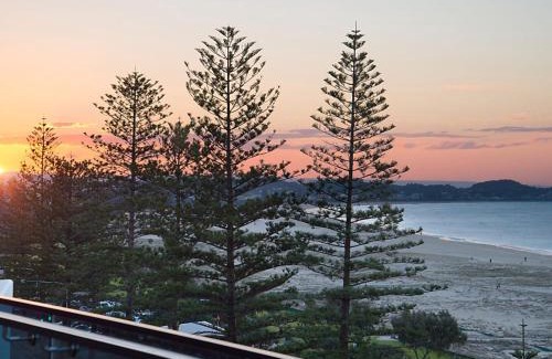 Coolangatta Apartment | Iconic Apartments 704