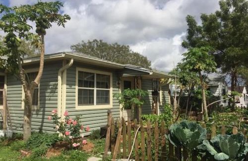 St. Petersburg - Clearwater Ski Chalet | Ida's Garden