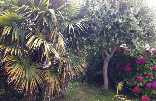 Saint-Philibert House | Ideal holiday home for family