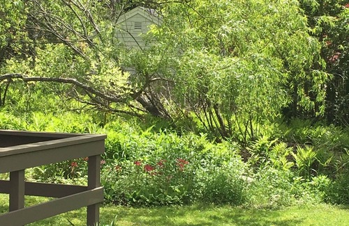 Camden Cottage | Ideal location- on a quiet street downtown, walk to everything