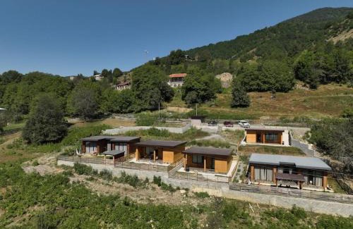 Bagvdanari Ski Chalet | Ideal six-person villa for large families with pets, featuring barbecue and spacious yard Svaneti Сountryside 1