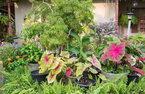 Sri Jayawardenepura Kotte Apartment | Idor Holidays
