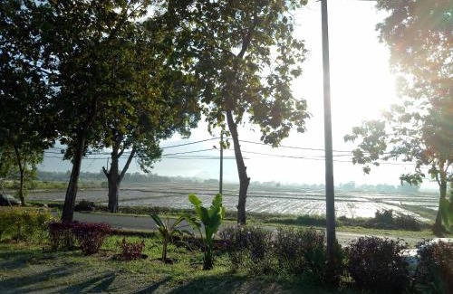 Simpang Kenyum House | IDUL Sunrise View