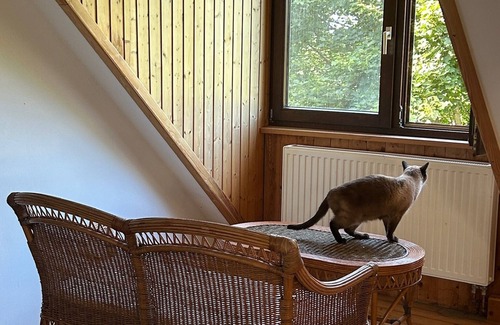 Grutz House | Idyllic vacation home in Havelland - nature, peace & lots of charm