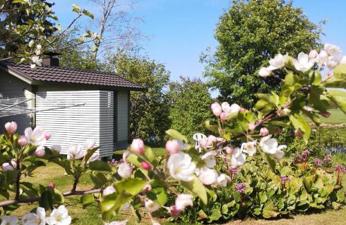 Kalajoki Ski Chalet | Idyllinen mökki ja pihasauna jokirannassa - sisältää liinavaatteet ja loppusiivouksen