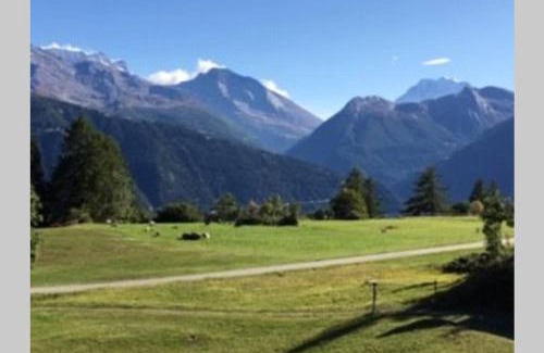Bitsch Apartment | Idyllisches Chalet inmitten der Walliser Bergwelt