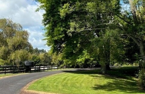 Tamahere House | If it is a quiet relaxing time away you are after - this is it!