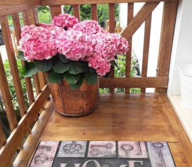 Torreglia Bed & Breakfast | Il Borgo dei Molini