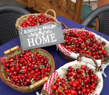 Torreglia Bed & Breakfast | Il Borgo dei Molini