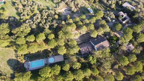 Lidarno House | Il Cantico delle Cicale