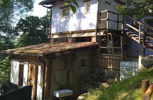 Netro Apartment | Il canto del bosco