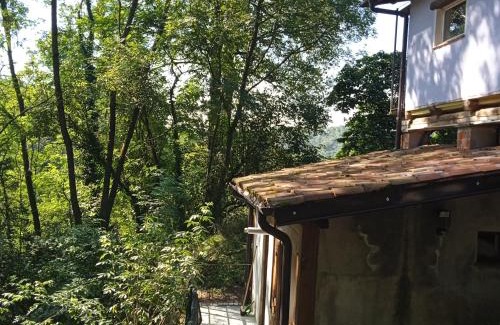 Netro Apartment | Il canto del bosco