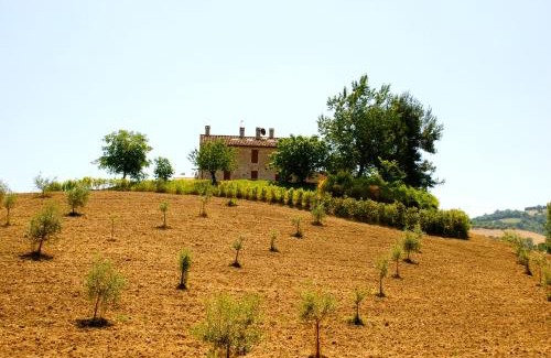 Offida House | Il Casale di Giovanna