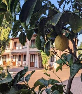 Imola House | Il Ghiandolino